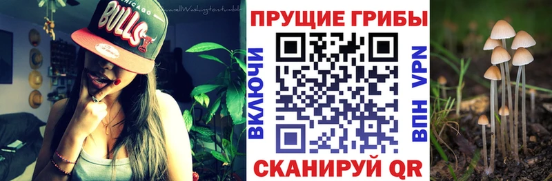 Галлюциногенные грибы Magic Shrooms  купить наркотики цена  Нефтегорск 